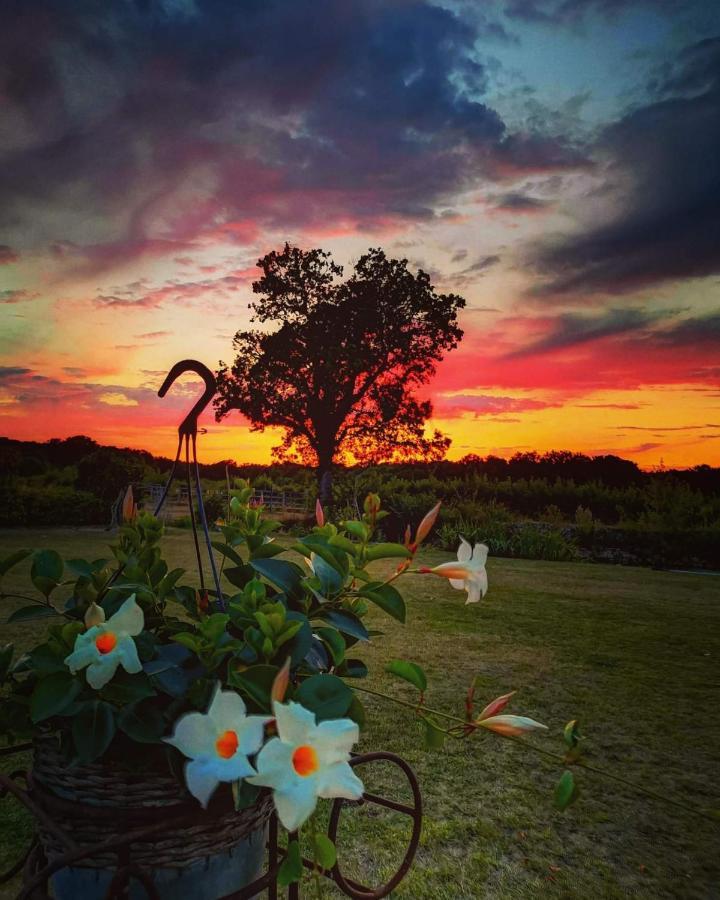 Manoir la Rumillette Saint-Michel-sur-Loire Esterno foto